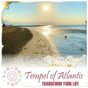 TRANSFORM YOUR LIFE ~ Die 12 Siegel Kristallweg • Entfalte Dein volles Potenzial